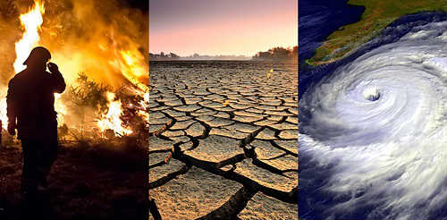 Climate Change: Beginning of a massive extinction