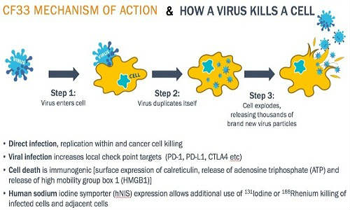 A New Hope CF33 that can kill all types of Cancer