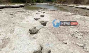Severe Drought In Texas Park Uncovers 113-Million-Year-Old Dinosaur Tracks