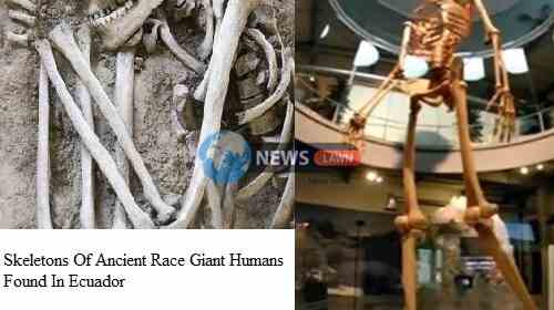 Skeletons Of Ancient Race Giant Humans Found In Ecuador