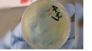 Chinese Bilogical Smuggling Results In Bioterror Arrests By US